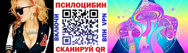 Галлюциногенные грибы Psilocybine cubensis  Власиха 